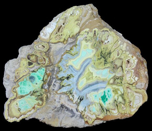 Slab Of Clay Canyon Variscite - Old Collection #39161